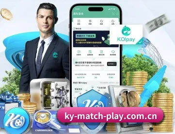 开云体育入口 APP